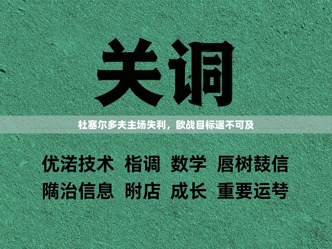 杜塞尔多夫主场失利，欧战目标遥不可及  第2张