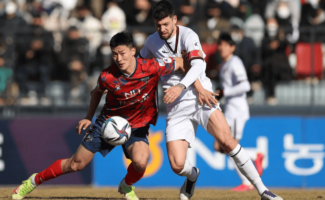 大邱FC俱乐部努力拼搏获得胜利的简单介绍